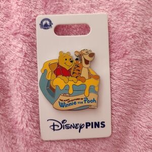 Winnie the Pooh Ride Disney Pin